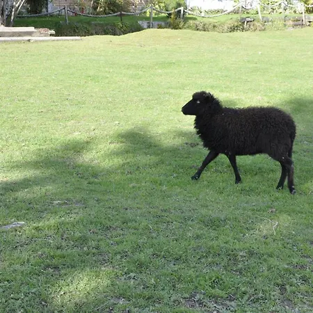 カントリーハウス La Maison Du Bonheur Roulotte