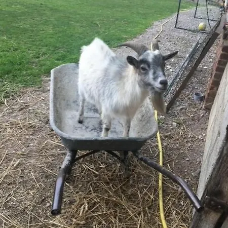 La Maison Du Bonheur Roulotte Saint-Ouen-sous-Bailly
