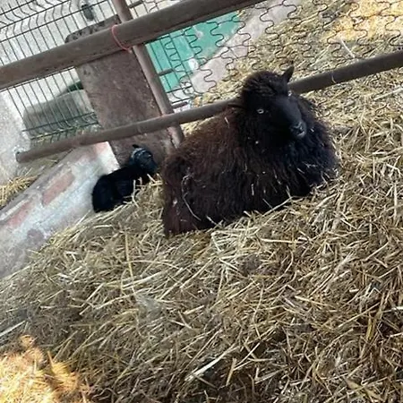 La Maison Du Bonheur Roulotte カントリーハウス *