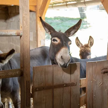 カントリーハウス La Maison Du Bonheur Roulotte Saint-Ouen-sous-Bailly